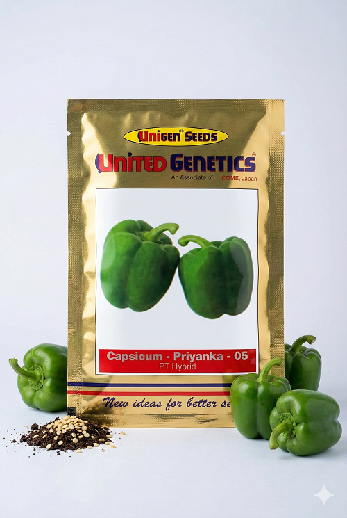 Priyanka -05 F1 Hybrid Capsicum (United Genetics)