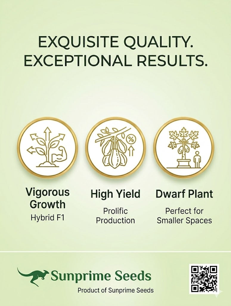 Rica F1 Hybrid Papaya - Vigourus, High Yield, Dwarf Plants (Sunprime Seeds, Singapore)