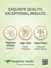 Rica F1 Hybrid Papaya - Vigourus, High Yield, Dwarf Plants (Sunprime Seeds, Singapore)