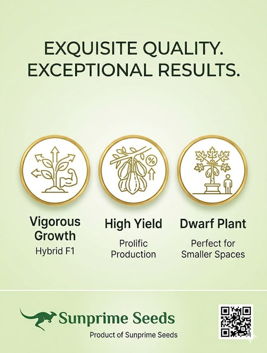 Rica F1 Hybrid Papaya - Vigourus, High Yield, Dwarf Plants (Sunprime Seeds, Singapore)