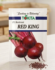 Tokita Red King F1 Beetroot Seeds