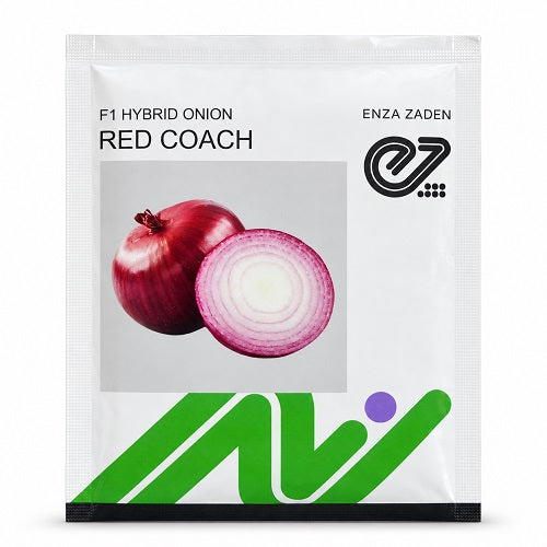 Red Coach F1 Hybrid Onion (Enza Zaden)