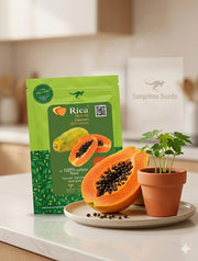 Rica F1 Hybrid Papaya - Vigourus, High Yield, Dwarf Plants (Sunprime Seeds, Singapore)