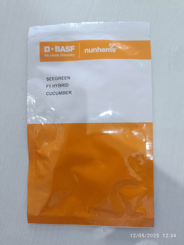 SEEGREEN/सीग्रीन F1 Hybrid Polyhouse Cucumber (Nunhems) - Farmers Stop
