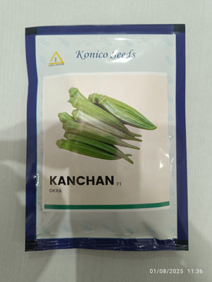Kanchan/कंचन F1 Hybrid Bhindi/Okra (Konico Seeds) - Farmers Stop