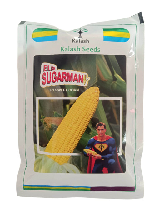 ELP SUGARMAN F1 Sweet Corn Seeds by Kalash – High Yielding Hybrid with Sweet Yellow Kernels