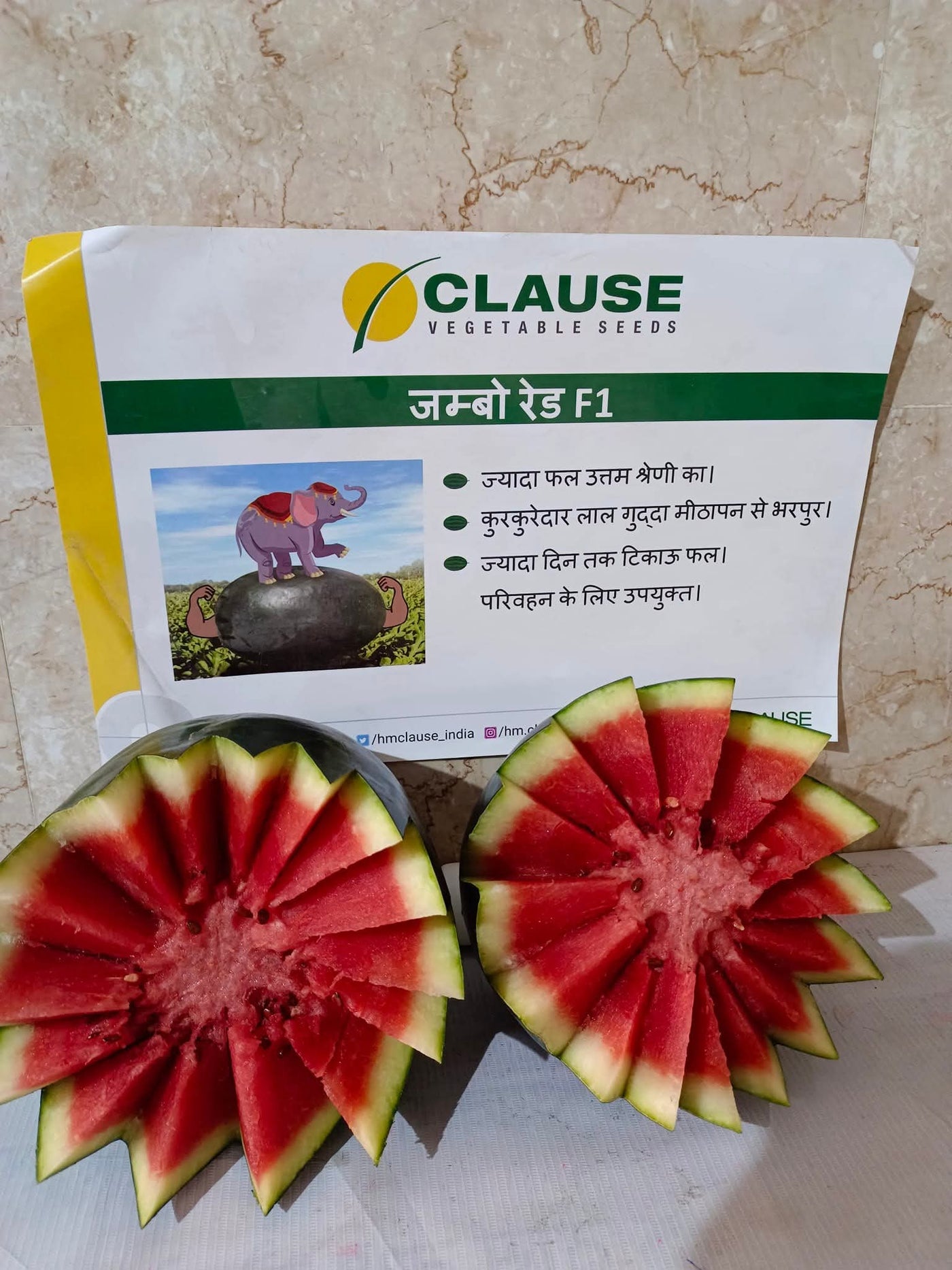 Jumbo Red F1 Hybrid Watermelon (Clause Seeds)
