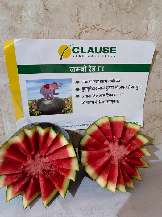 Jumbo Red F1 Hybrid Watermelon (Clause Seeds)