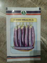 PPL-74 Brinjal F1 Hybrid(Sungro seeds) - Farmers Stop
