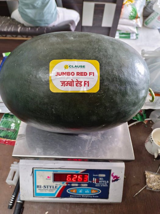 Jumbo Red F1 Hybrid Watermelon (Clause Seeds)
