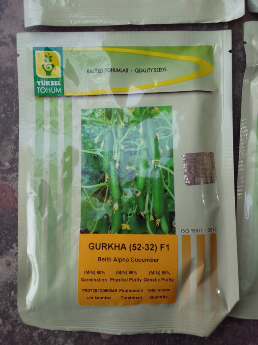 Gurkha (52-32) F1 Parthenocarpic Cucumber Seeds (Yuksel Seeds)