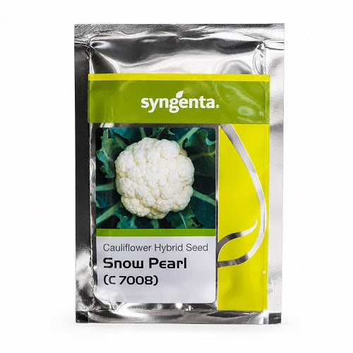 Syngenta Snow Pearl C-7008 Hybrid Cauliflower Seeds
