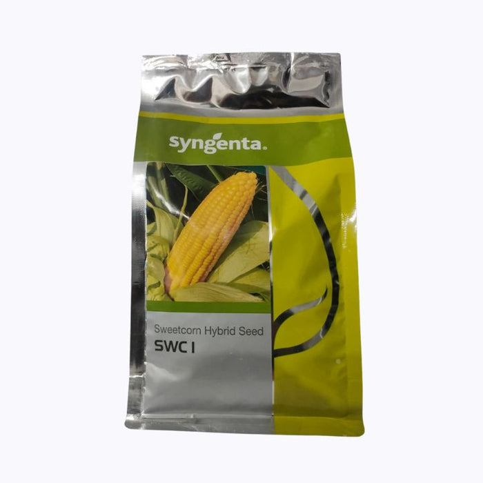 SWC-1 Hybrid F1 Sweet Corn (Syngenta)