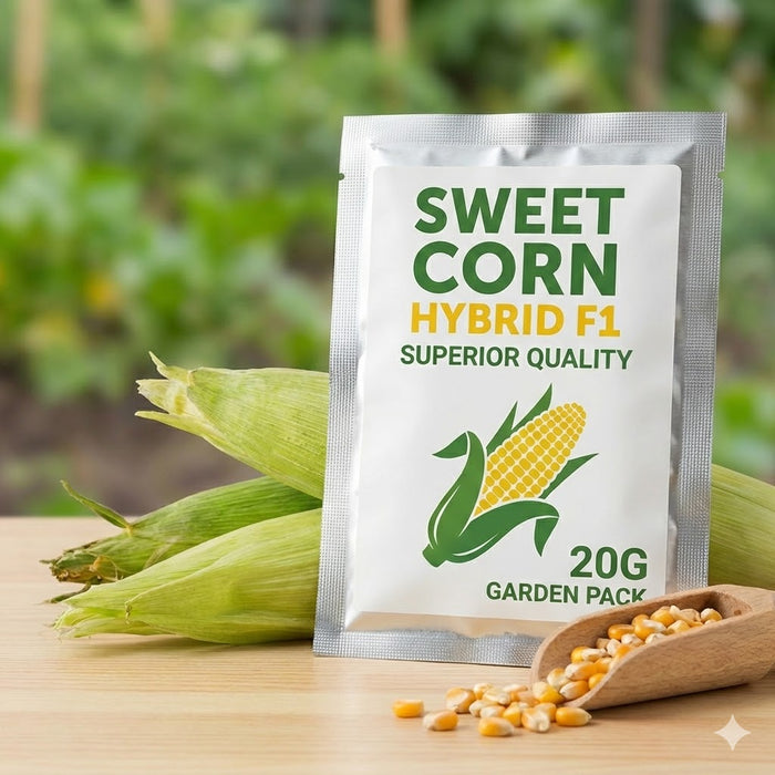 Sweet Corn Hybrid F1 Superior Quality Seeds (Garden Festival)