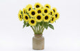 Sweetie Sunflower - for Cut Flower (Garden Festival)