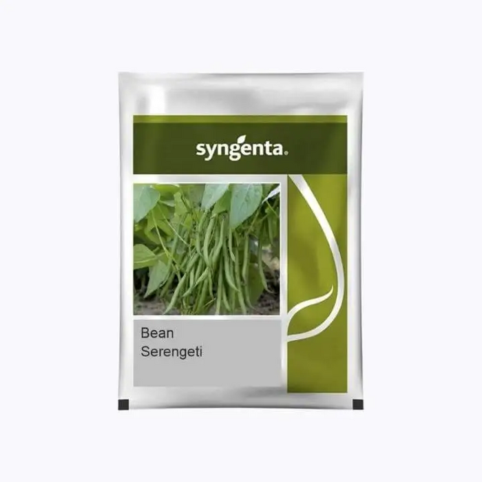 Serengeti High Yield Beans (Syngenta)