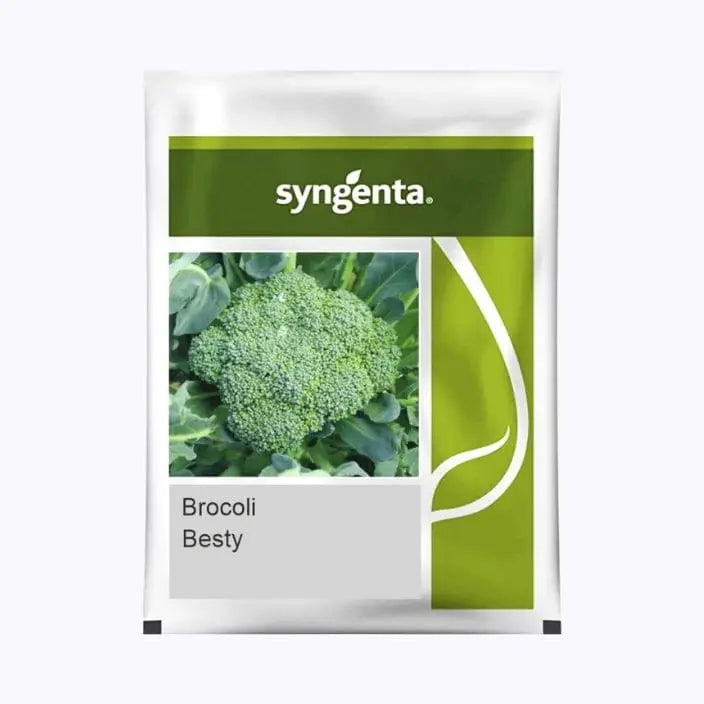 Winter Broccoli Seeds Online in India | Farmers Stop