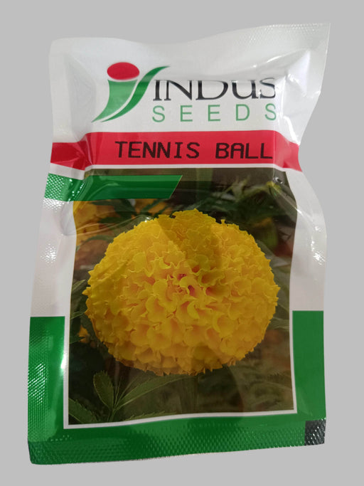 Tennis Ball F1 Hybrid Yellow Marigold – Compact Lemon Yellow Flowers by Indus Seeds