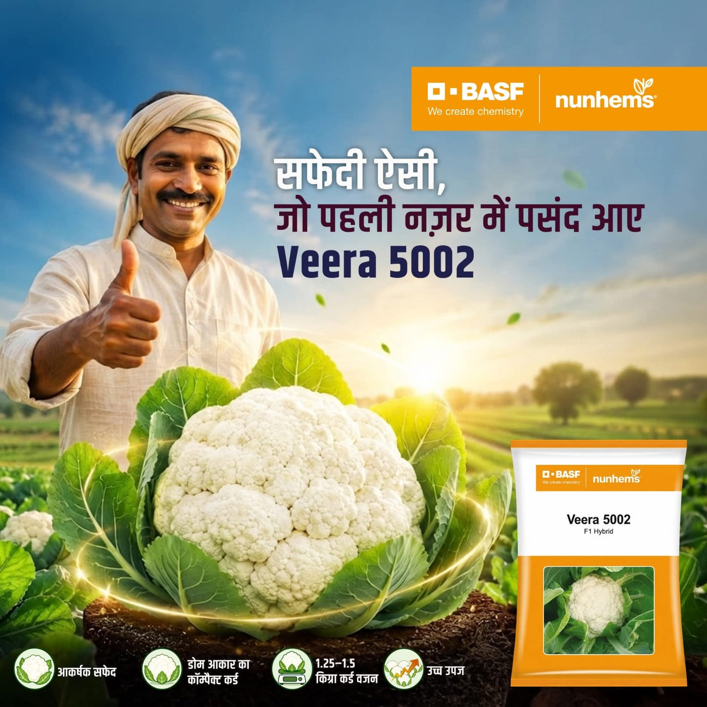 पर्ल ग्लोरी F1 हाइब्रिड फूलगोभी (BASF-नुन्हेम्स)