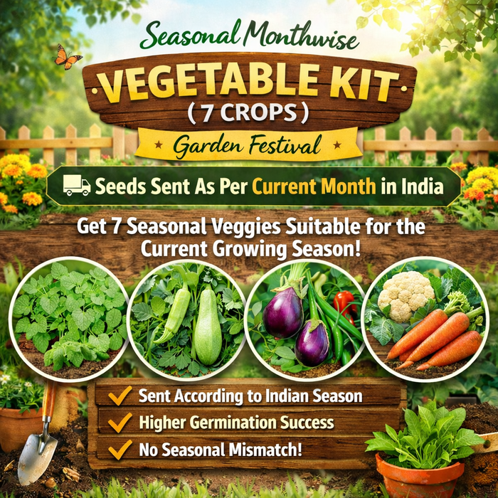 Seasonal Running Monthwise Growing Vegetable Kit (7 Crops) - (Garden Festival)