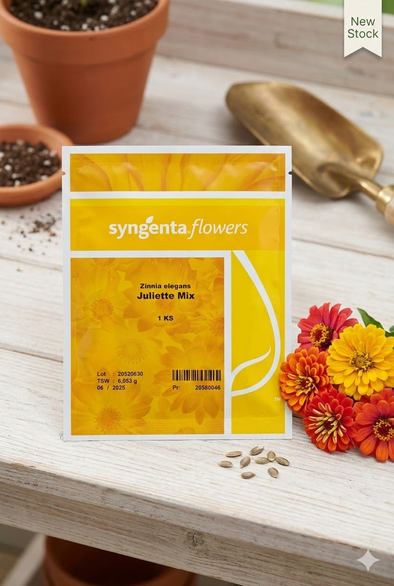 syngenta flower seeds india Juliette Mix Zinnia Flower Seeds (Syngenta) – Colorful Garden Zinnia