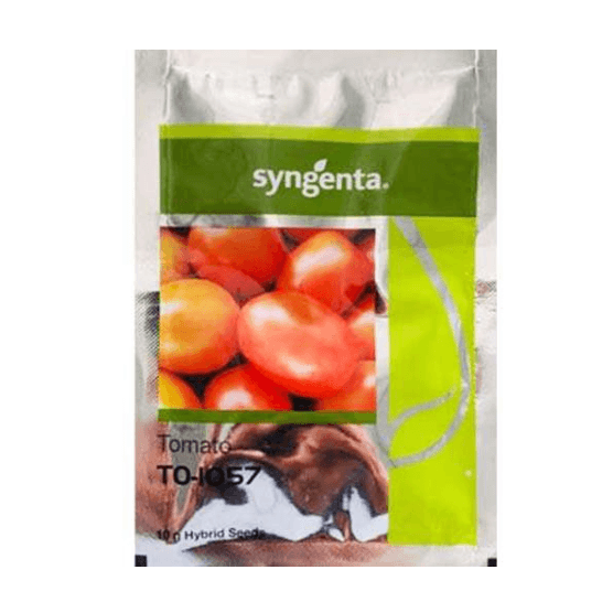to-1057 f1 hybrid tomato (syngenta)