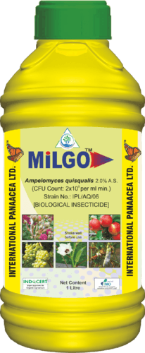Milgo – Ampelomyces quisqualis (Liquid) BioFungicide (IPL) - Farmers Stop