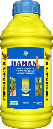 Daman – Beauveria bassiana (Liquid) BioInsecticide (IPL) - Farmers Stop