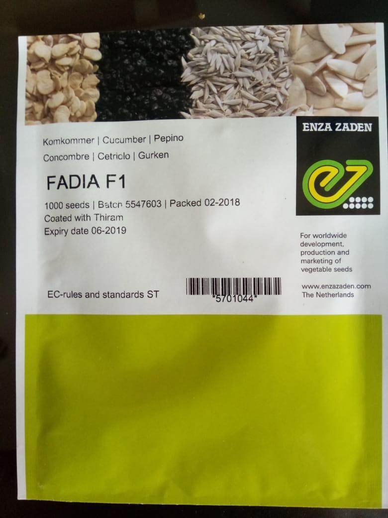 Fadia F1 Cucumber Seeds (Enza Zaden) - Farmers Stop