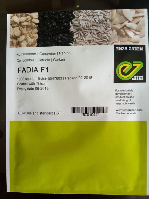 Fadia F1 Cucumber Seeds (Enza Zaden) - Farmers Stop