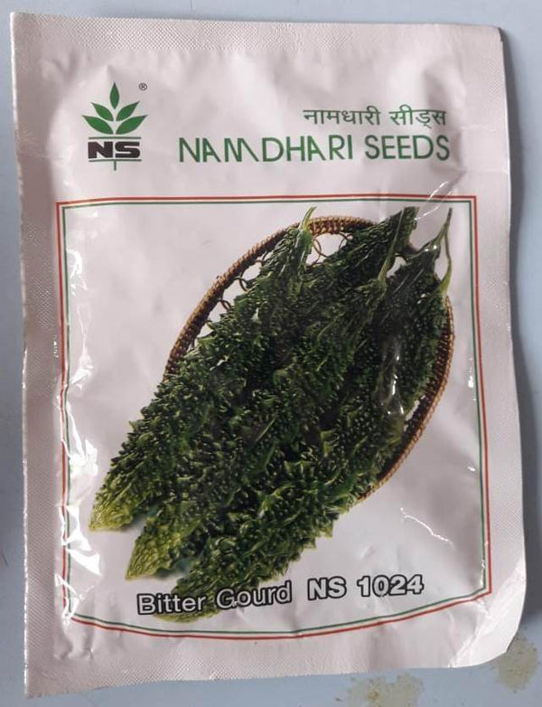 NS 1024 Hybrid F1 Bittergourd (Namdhari Seeds) - Farmers Stop