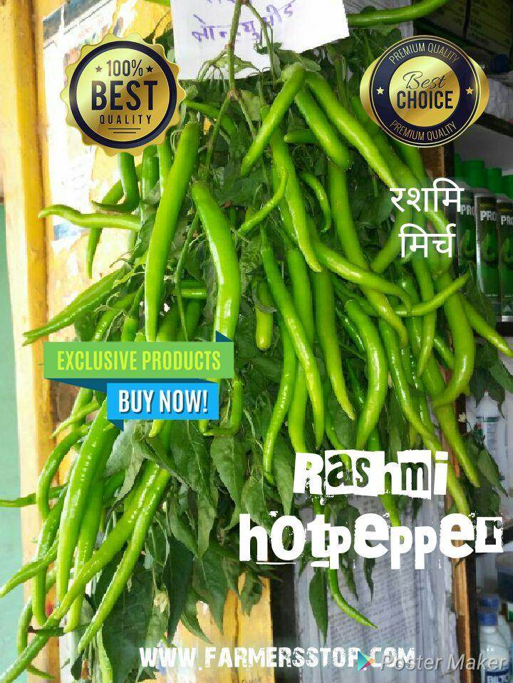 Rashmi/रश्मी Hot pepper (Known You Seeds) - Farmers Stop