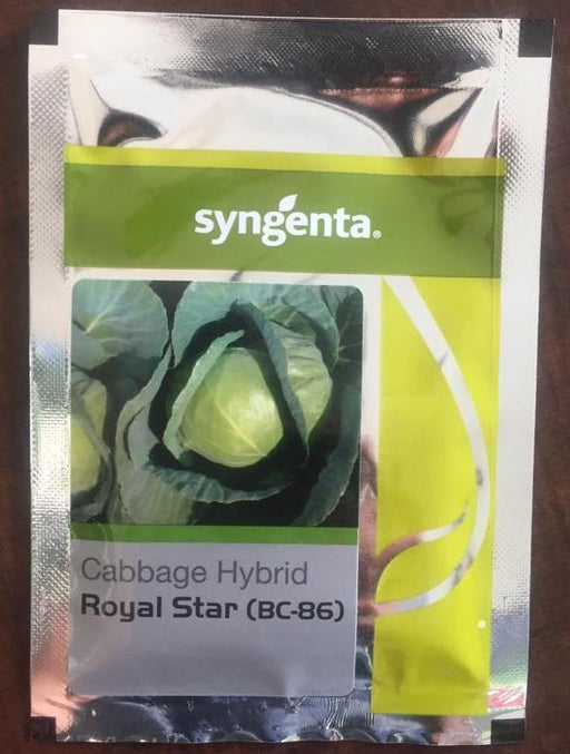 Royal Star/रॉयल स्टार BC86 Hybrid Cabbage (Syngenta) - Farmers Stop