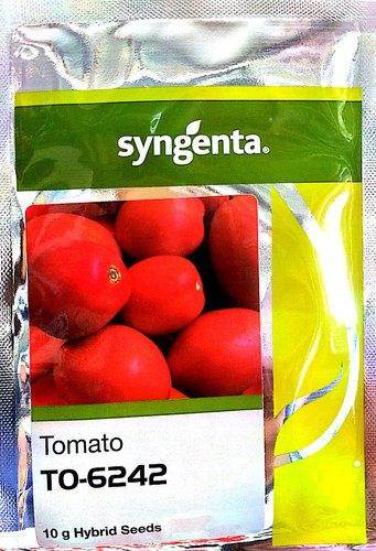 Buy To 6242 Hybrid F1 Tomato Seeds (Syngenta) Online | FarmersStop
