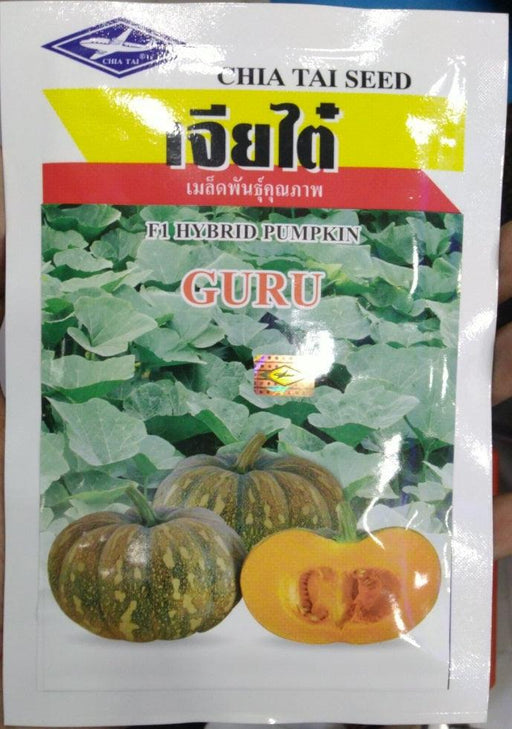 Guru/गुरु F1 Hybrid Pumpkin (CHIA TAI Seeds) - Farmers Stop