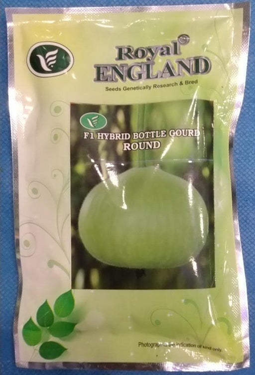 F1 Hybrid Round Bottle gourd (Royal England) - Farmers Stop