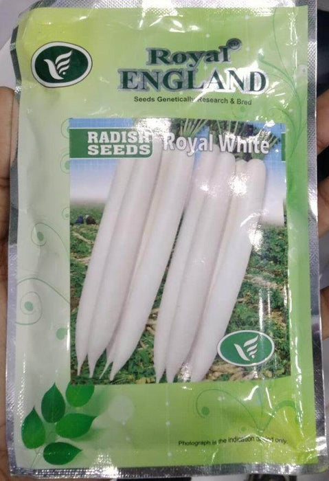 Royal White Radish Seeds (Royal England) - Farmers Stop