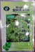 Grand Rapid Lettuce Seeds (Royal England) - Farmers Stop