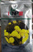 Magic Yellow Bijlee Flower Seeds ( North Star Seeds) - Farmers Stop