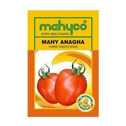 Anagha/अनघा Tomato (Mahyco) - Farmers Stop