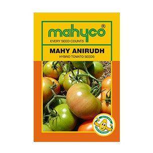Anirudh/अनिरुद्ध Tomato (Mahyco) - Farmers Stop