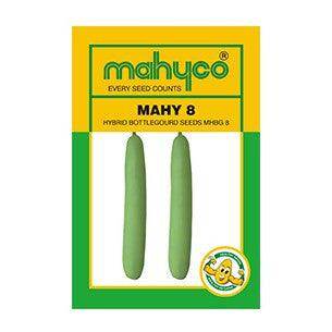 MAHY 8 Bottlegourd/लौकी (Mahyco) - Farmers Stop