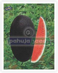 Suman 235/सुमन २३५ Ice Box Watermelon (Pahuja Seeds) - Farmers Stop