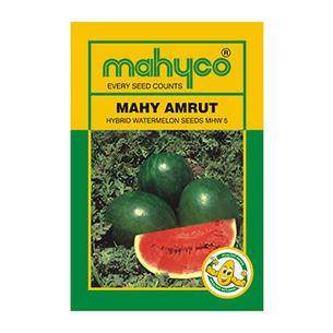 Amrut/अमृत MHW 5 Watermelon (Mahyco) - Farmers Stop