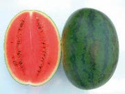 NS 20 (H20) Watermelon (Namdhari) - Farmers Stop