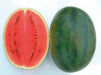 NS 20 (H20) Watermelon (Namdhari) - Farmers Stop