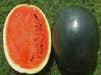 NS 200 Watermelon (Namdhari) - Farmers Stop