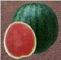 NS 252 Watermelon (Namdhari) - Farmers Stop