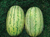 NS 295 Watermelon (Namdhari) - Farmers Stop