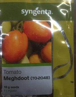 Meghdoot/मेघदूत 2048 Tomato (Syngenta) - Farmers Stop